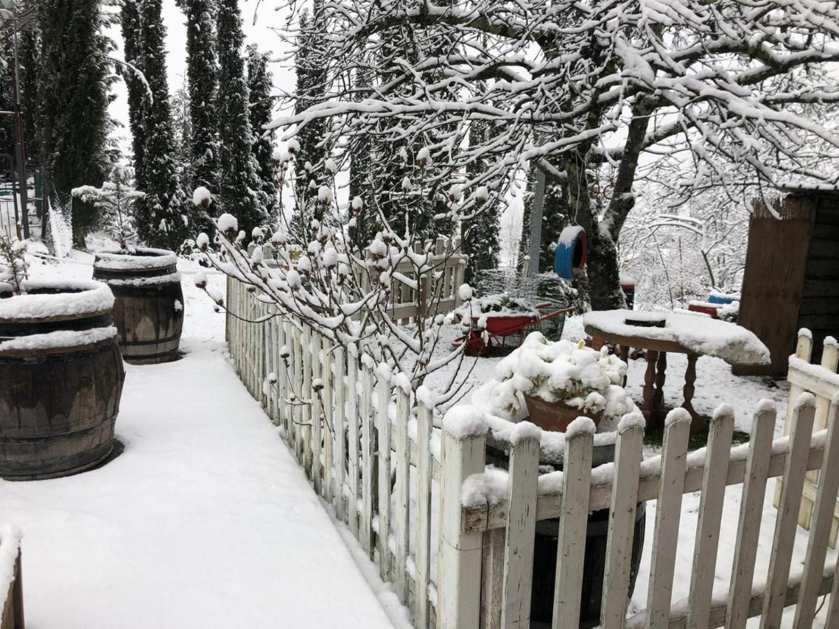 La Casa Di Nonno Apartman Pelago Kültér fotó